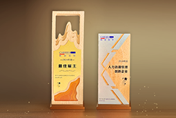 凯发K8国际一举斩获“2024年度中国区最佳雇主”等多项大奖